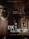 跟踪/Eye in the Sky