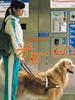米可，GO!/Mico,Go!(2007)