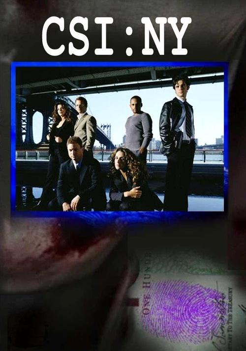 犯罪现场调查：纽约/CSI: NY(2004) 电影图片 海报 #02 大图 697X997