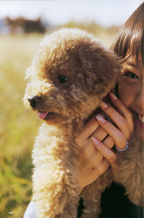 写真 #28