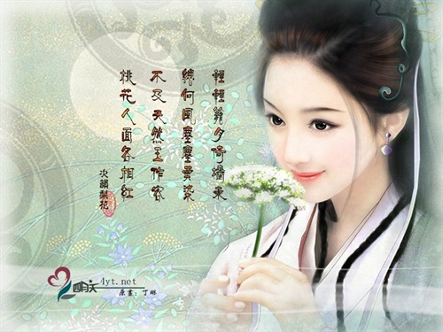 U1595P55T4D81296F50D